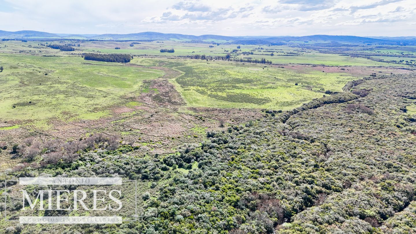 Campo en venta - Inmobiliaria Antonio Mieres