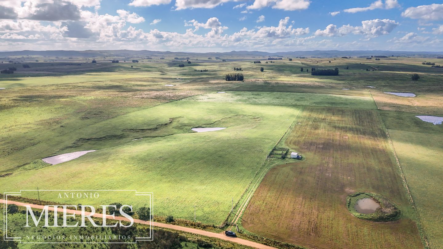 Campo en venta de 25 ha, puntas de José Ignacio, Maldonado Uruguay. - Inmobiliaria Antonio Mieres
