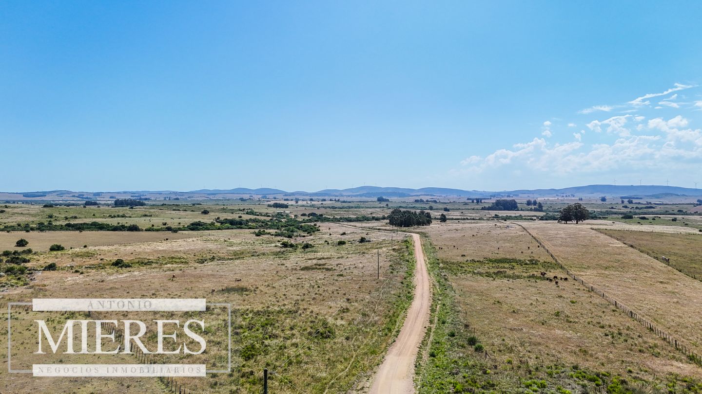 Campo en venta de 49 ha Maldonado, Uruguay. - Inmobiliaria Antonio Mieres