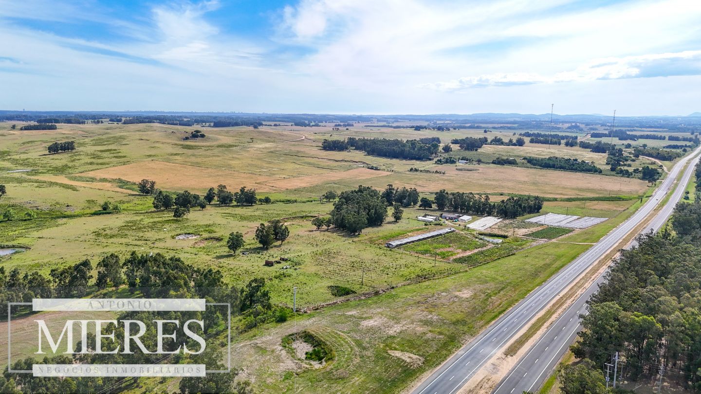 Campo en venta de 59 ha sobre ruta 9 a 15 min de José Ignacio - Inmobiliaria Antonio Mieres