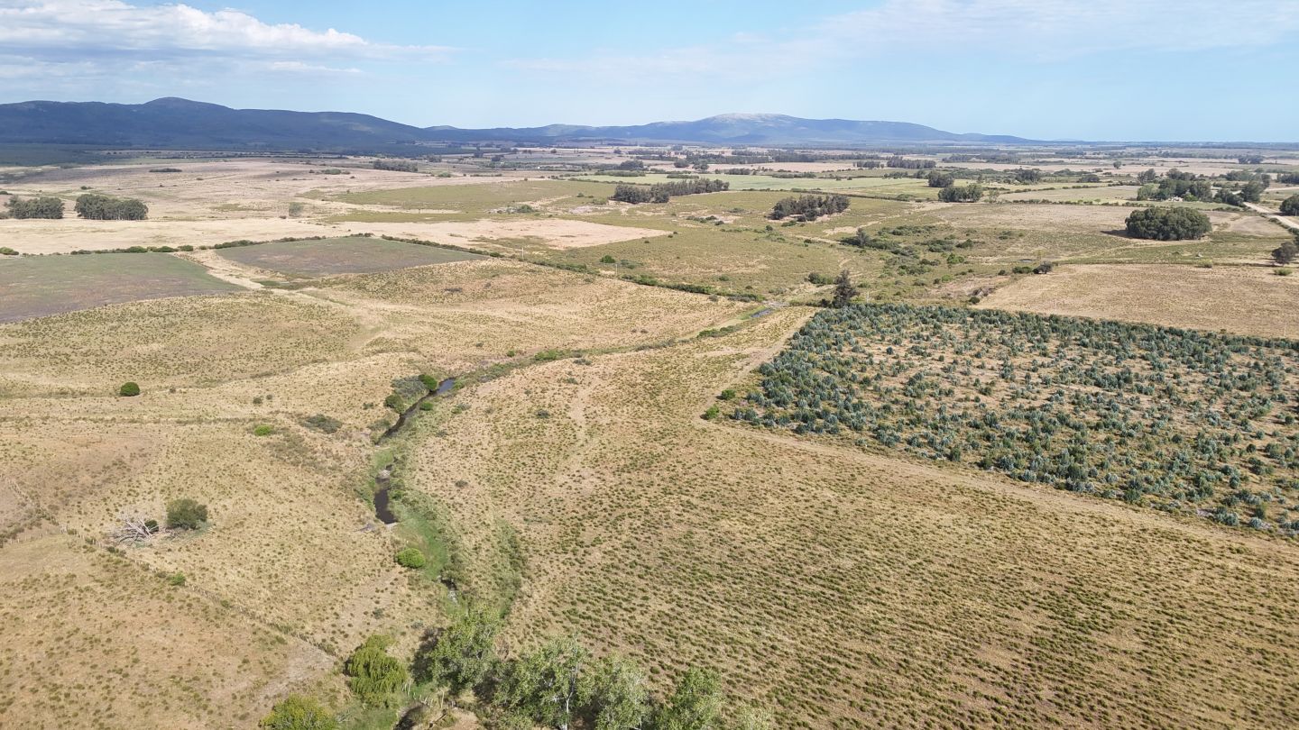 Campo en venta de 30 ha en Solís Grande, Maldonado Uruguay - Inmobiliaria Antonio Mieres