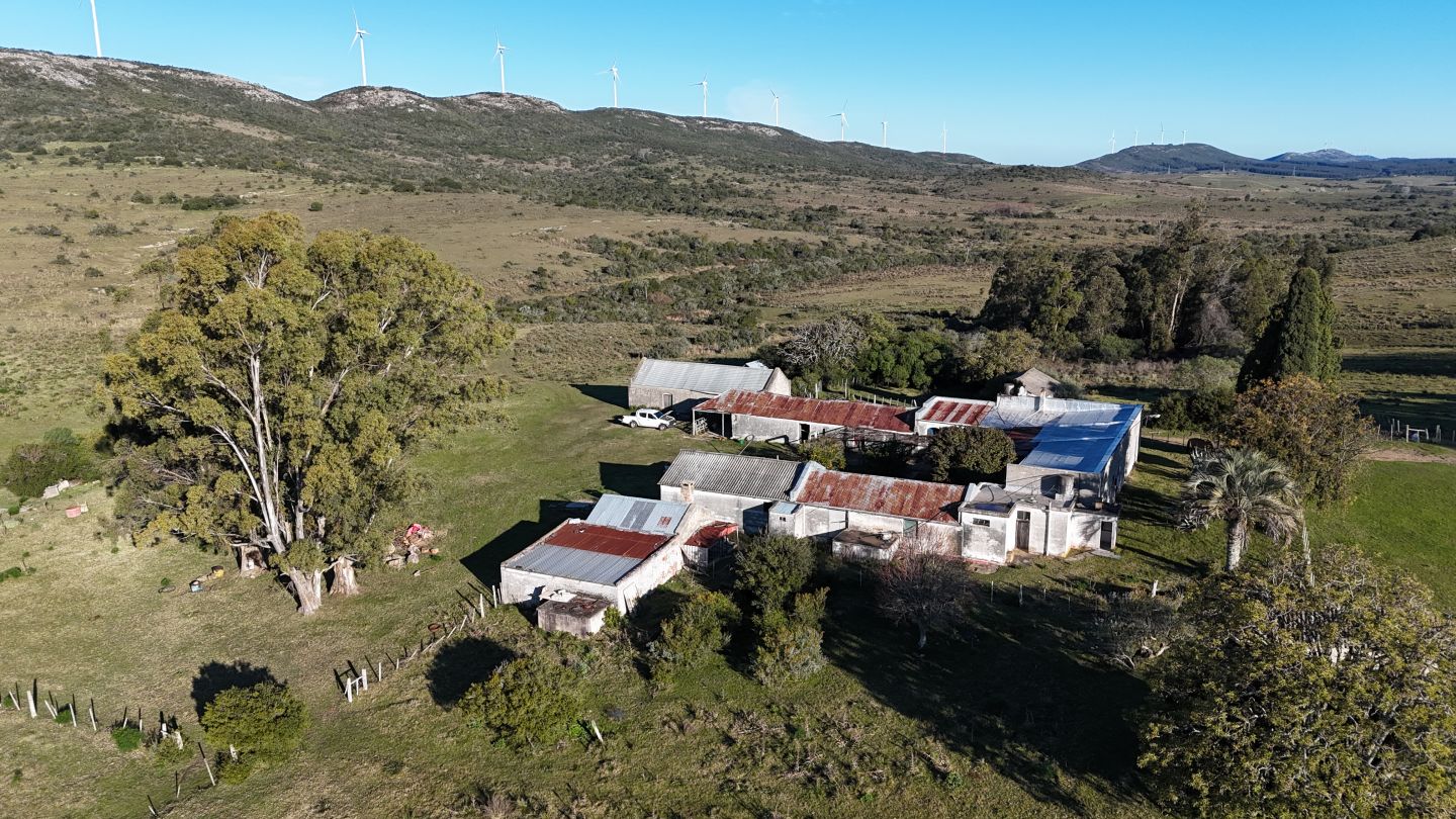 Campo de 600 ha en Sierras de carape, Maldonado Uruguay. - Inmobiliaria Antonio Mieres
