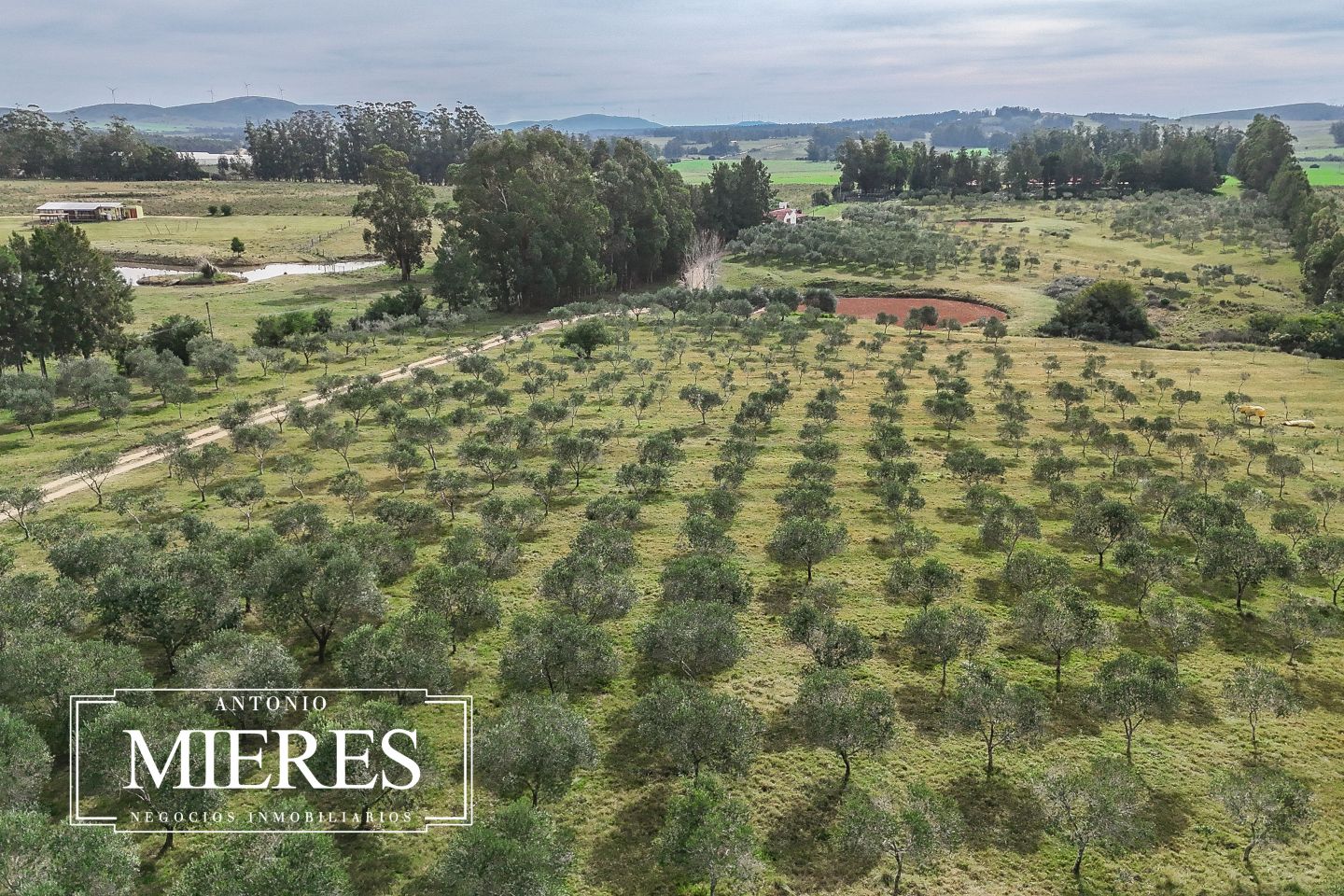 Chacra con casa en venta 5dorm en exclusividad ref 6786 - Inmobiliaria Antonio Mieres