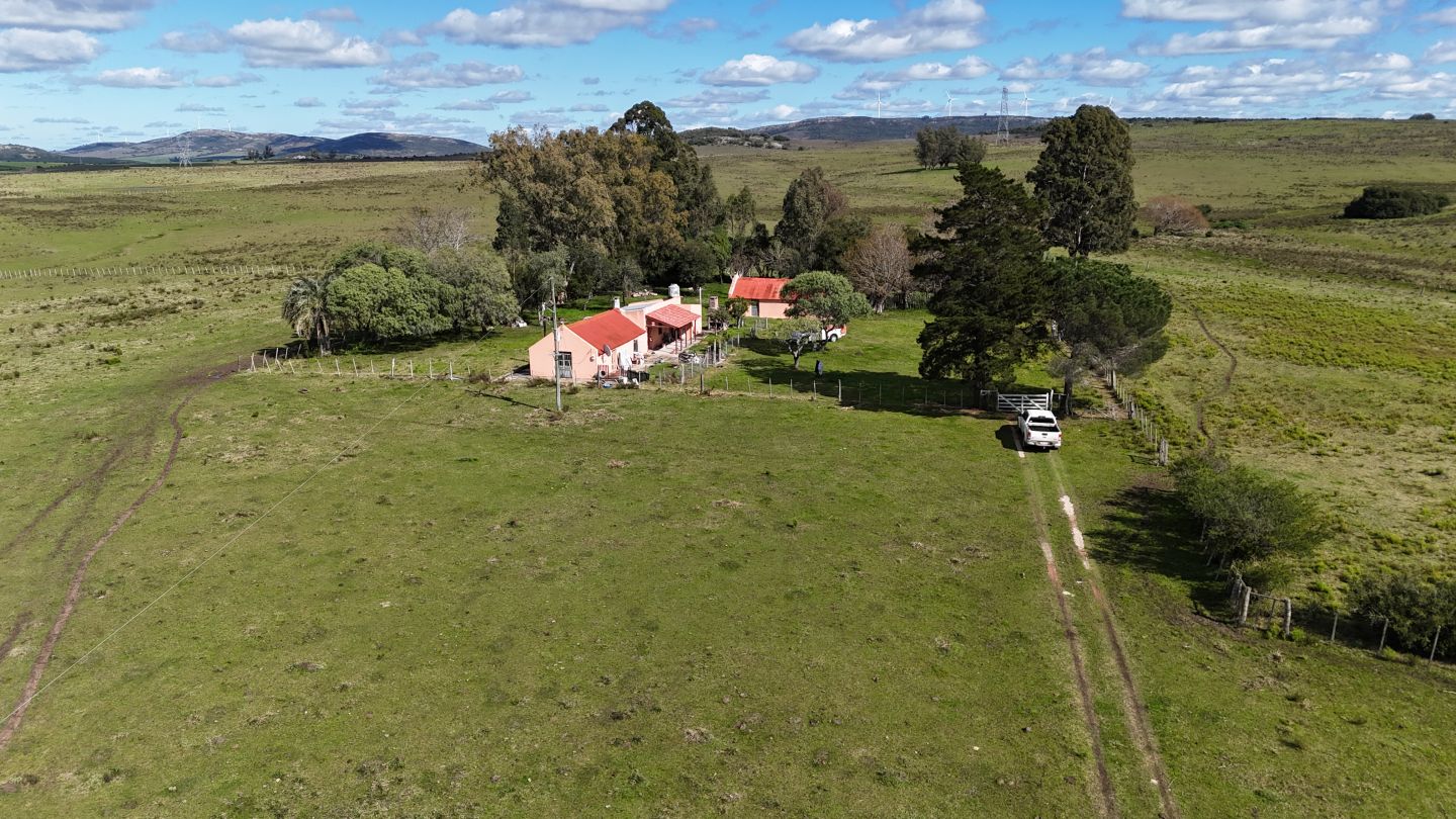 Campo en venta de 57 ha en Paso Dutra Maldonado Uruguay. - Inmobiliaria Antonio Mieres